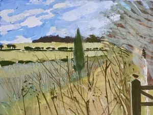 FARMLAND NEAR PAMPHILL